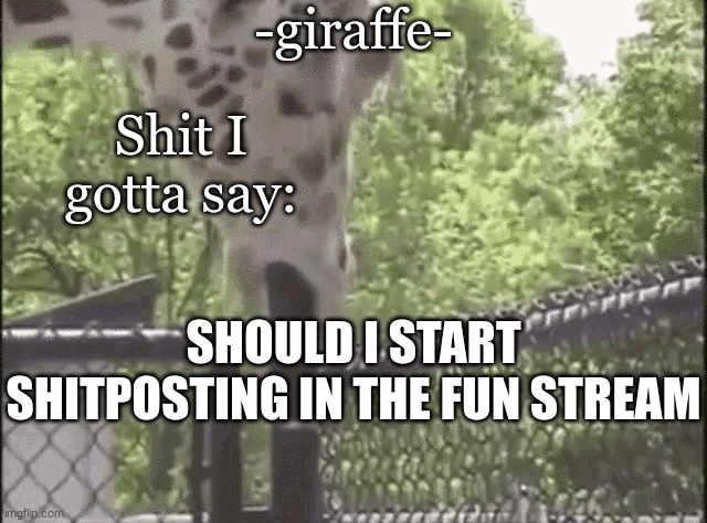 -giraffe- | SHOULD I START SHITPOSTING IN THE FUN STREAM | image tagged in -giraffe- | made w/ Imgflip meme maker