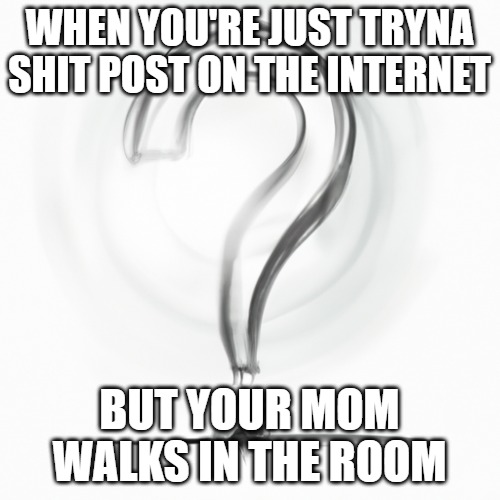 WHEN YOU'RE JUST TRYNA SHIT POST ON THE INTERNET; BUT YOUR MOM WALKS IN THE ROOM | made w/ Imgflip meme maker