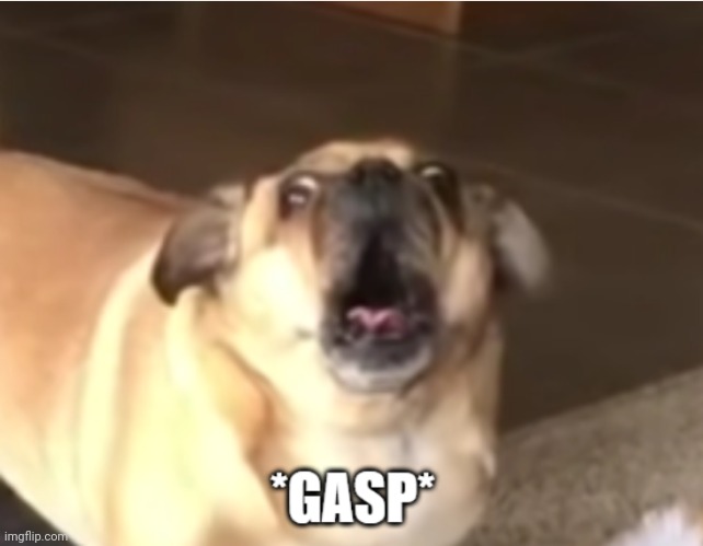 *gasp* | image tagged in gasp | made w/ Imgflip meme maker