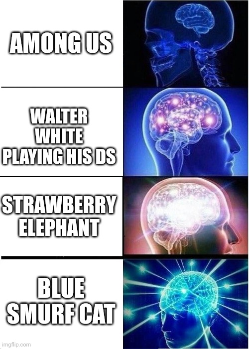 Meme chart | AMONG US; WALTER WHITE PLAYING HIS DS; STRAWBERRY ELEPHANT; BLUE SMURF CAT | image tagged in memes,expanding brain | made w/ Imgflip meme maker