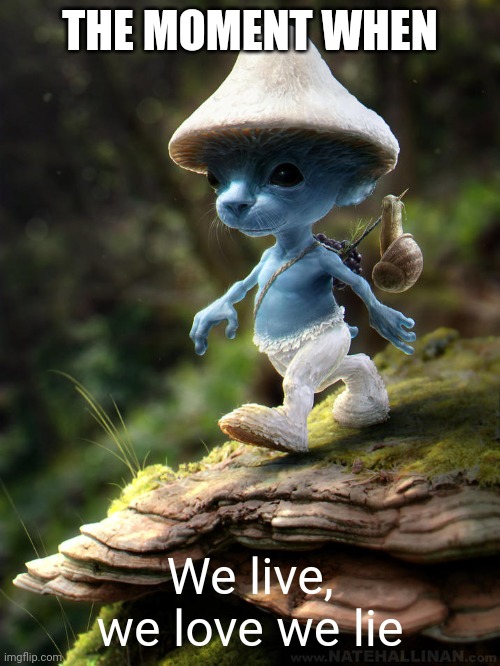 We live we love we lie | THE MOMENT WHEN; We live, we love we lie | image tagged in blue smurf cat | made w/ Imgflip meme maker