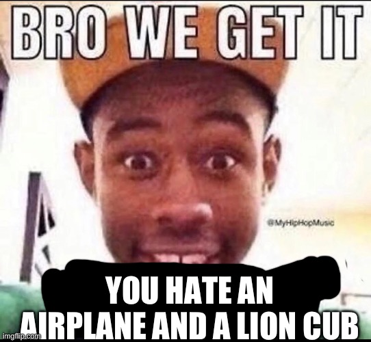 BRO WE GET IT YOU'RE GAY | YOU HATE AN AIRPLANE AND A LION CUB | image tagged in bro we get it you're gay | made w/ Imgflip meme maker