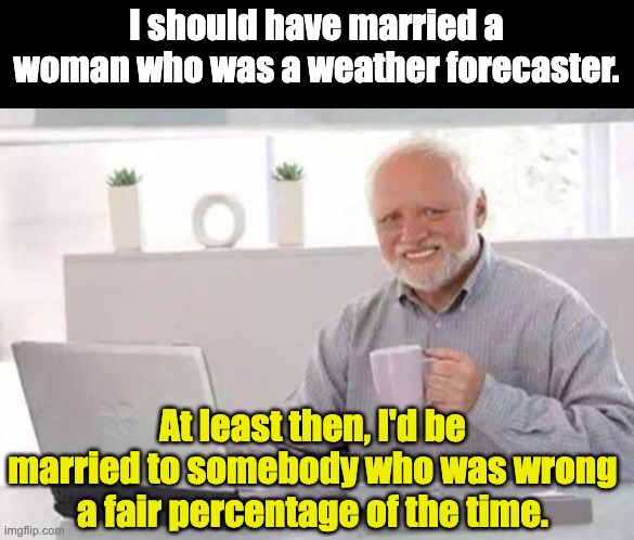 Marriage | I should have married a woman who was a weather forecaster. At least then, I'd be married to somebody who was wrong a fair percentage of the time. | image tagged in harold | made w/ Imgflip meme maker