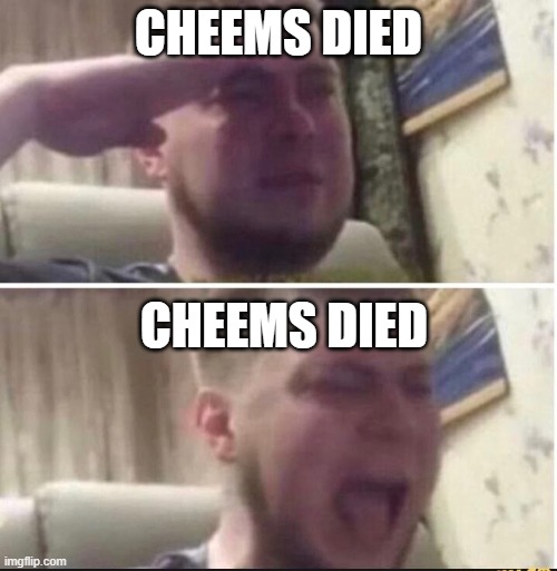 goodbye cheems | CHEEMS DIED; CHEEMS DIED | image tagged in crying salute | made w/ Imgflip meme maker