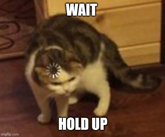 Loading cat | WAIT HOLD UP | image tagged in loading cat | made w/ Imgflip meme maker