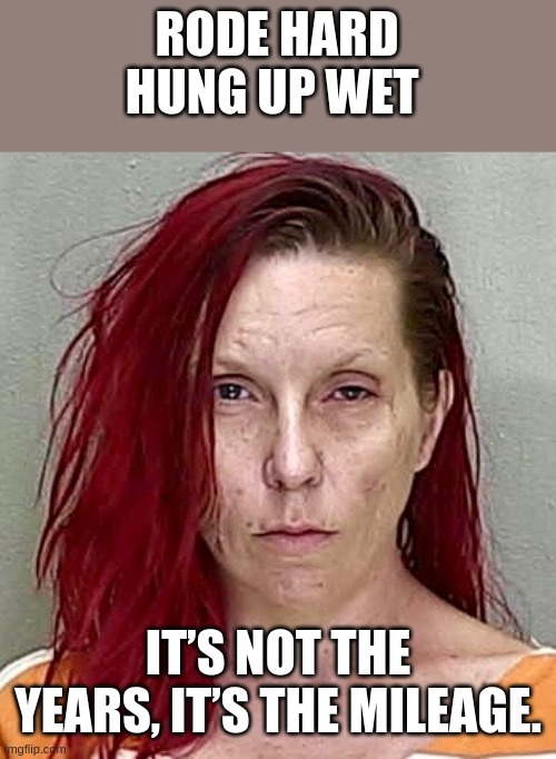 rode hard | RODE HARD
HUNG UP WET; IT’S NOT THE YEARS, IT’S THE MILEAGE. | image tagged in rode hard,hung up wet | made w/ Imgflip meme maker
