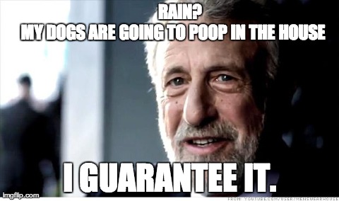 I Guarantee It | RAIN?           
MY DOGS ARE GOING TO POOP IN THE HOUSE I GUARANTEE IT. | image tagged in memes,i guarantee it,AdviceAnimals | made w/ Imgflip meme maker