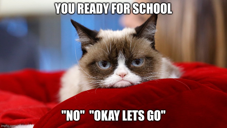 School mornings | YOU READY FOR SCHOOL; "NO"  "OKAY LETS GO" | image tagged in fun | made w/ Imgflip meme maker