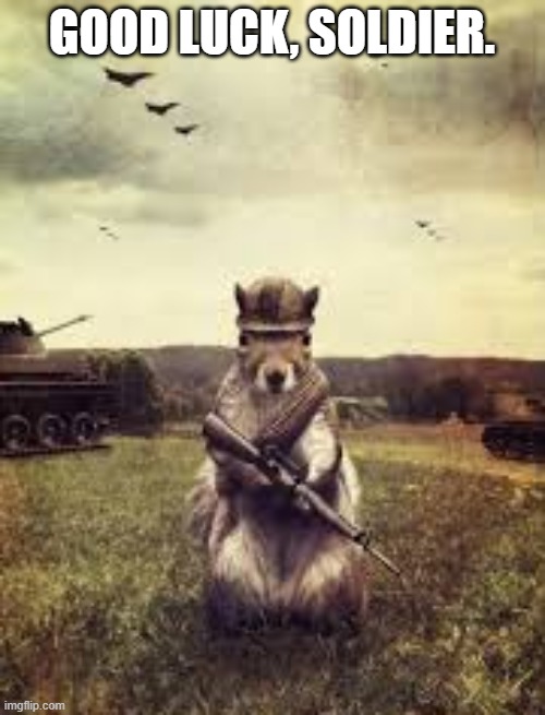 Soldier squirrel | GOOD LUCK, SOLDIER. | image tagged in soldier squirrel | made w/ Imgflip meme maker