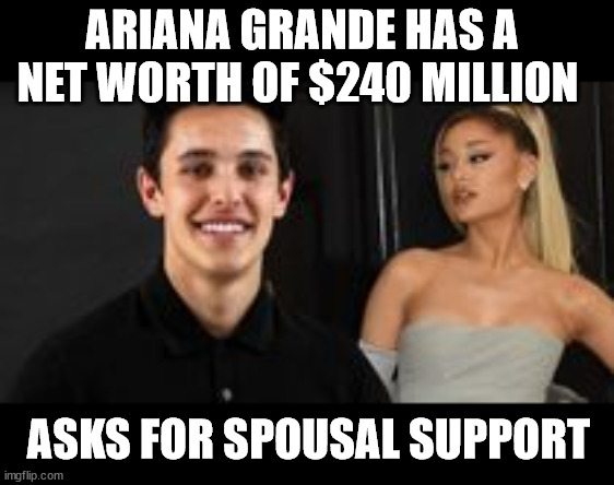 Modern Day Feminism | ARIANA GRANDE HAS A NET WORTH OF $240 MILLION; ASKS FOR SPOUSAL SUPPORT | image tagged in ariana grande,feminists | made w/ Imgflip meme maker