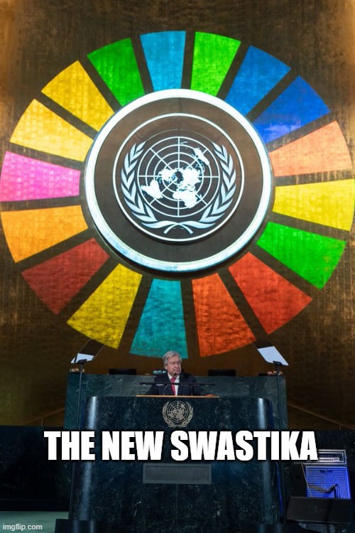 The New Swastika | THE NEW SWASTIKA | image tagged in the new swastika | made w/ Imgflip meme maker
