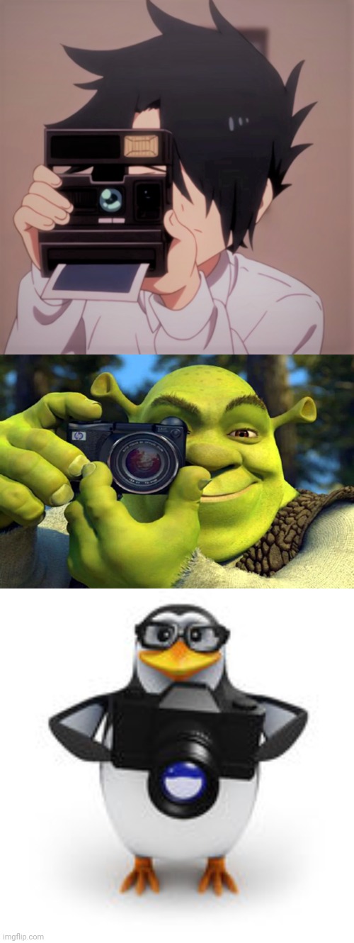 image tagged in caught in 4k,shrek caught in 4k | made w/ Imgflip meme maker