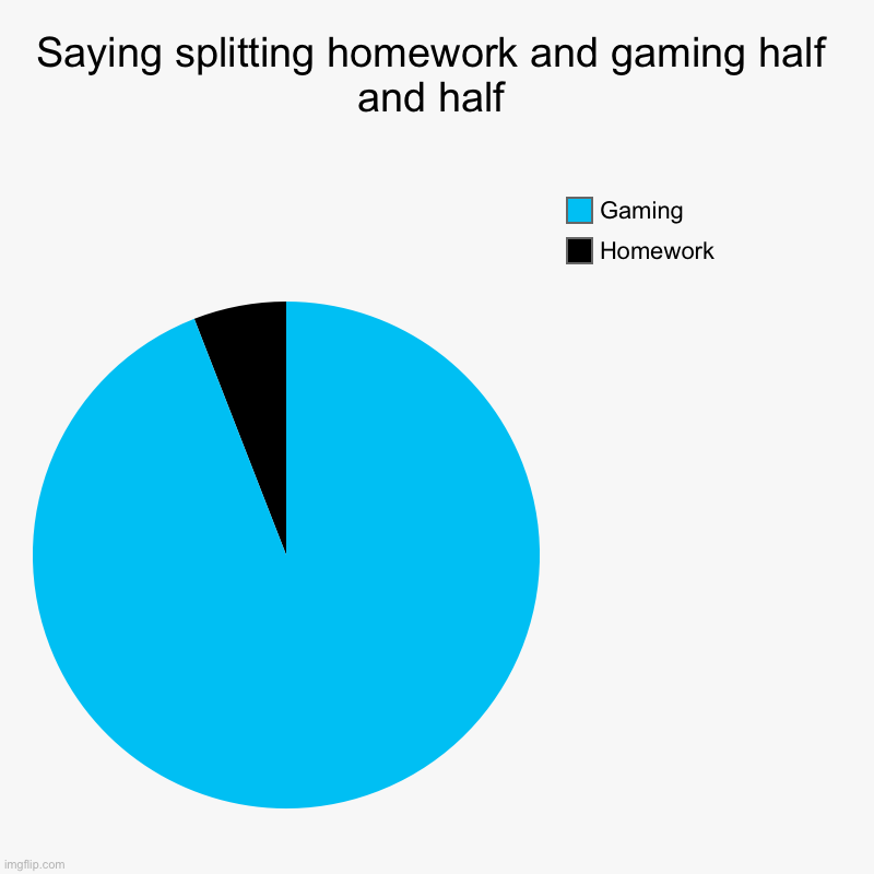 Saying splitting homework and gaming half and half | Homework, Gaming | image tagged in charts,pie charts | made w/ Imgflip chart maker