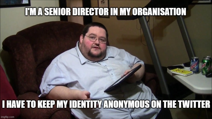 anonymous | I'M A SENIOR DIRECTOR IN MY ORGANISATION; I HAVE TO KEEP MY IDENTITY ANONYMOUS ON THE TWITTER | image tagged in twitter,anonymous | made w/ Imgflip meme maker