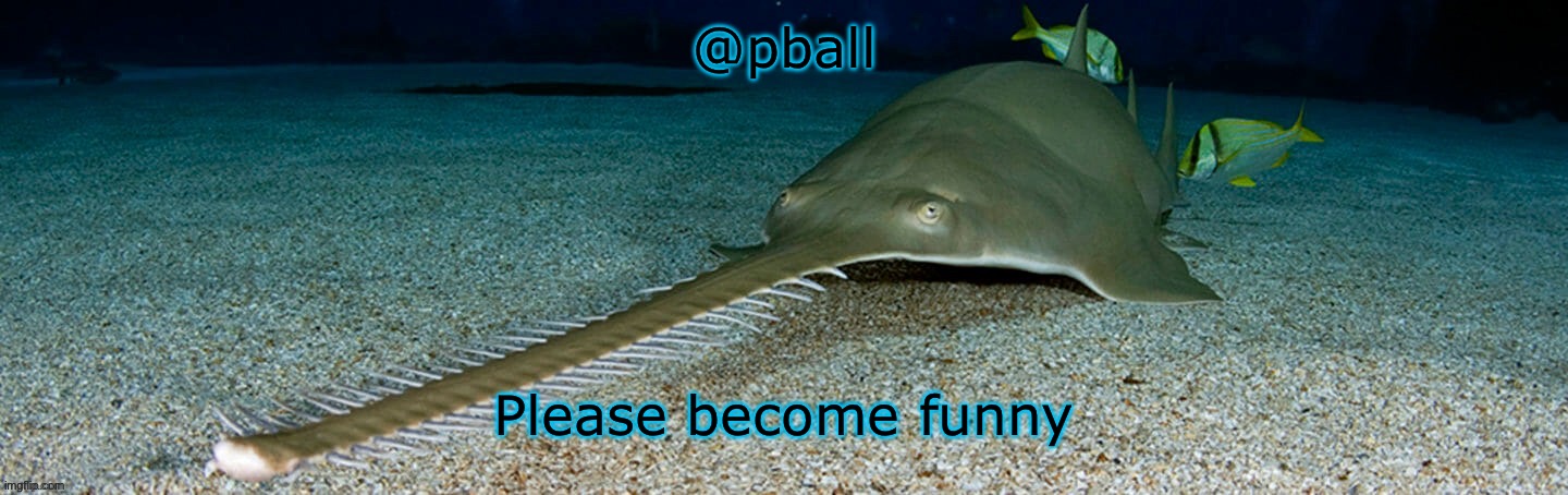 Cool sawfish | @pball; Please become funny | image tagged in cool sawfish | made w/ Imgflip meme maker