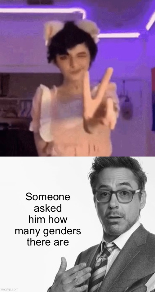 Someone asked him how many genders there are | image tagged in robert downey jr's comments | made w/ Imgflip meme maker