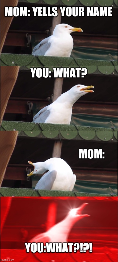 Inhaling Seagull | MOM: YELLS YOUR NAME; YOU: WHAT? MOM:; YOU:WHAT?!?! | image tagged in memes,inhaling seagull | made w/ Imgflip meme maker