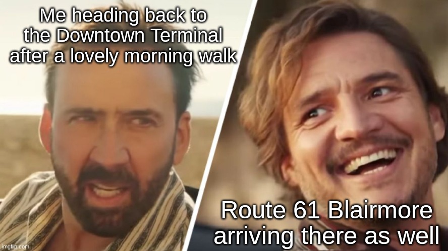 Ya better not start asking why | Me heading back to the Downtown Terminal after a lovely morning walk; Route 61 Blairmore arriving there as well | image tagged in nick cage and pedro pascal | made w/ Imgflip meme maker