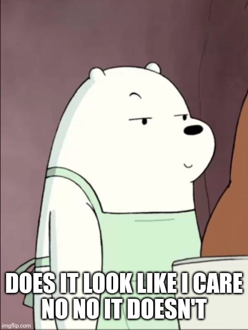 We Bare Bears Ice Bear Smug | DOES IT LOOK LIKE I CARE
NO NO IT DOESN'T | image tagged in we bare bears ice bear smug | made w/ Imgflip meme maker