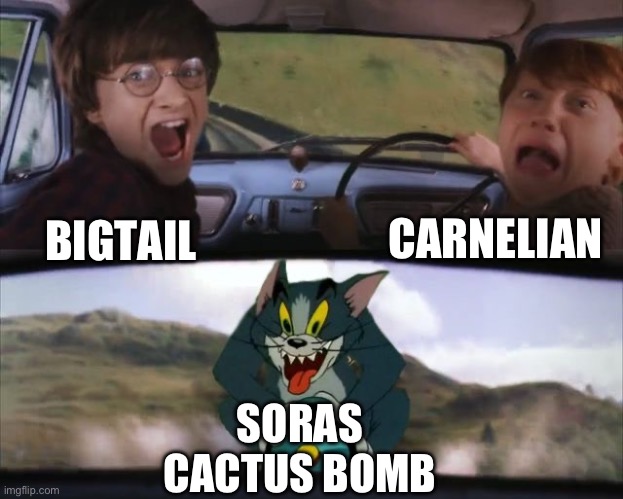 Tom chasing Harry and Ron Weasly | CARNELIAN; BIGTAIL; SORAS CACTUS BOMB | image tagged in tom chasing harry and ron weasly | made w/ Imgflip meme maker