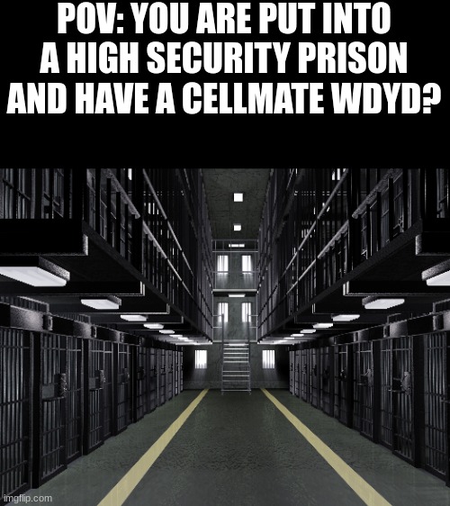 Rules in tags | POV: YOU ARE PUT INTO A HIGH SECURITY PRISON AND HAVE A CELLMATE WDYD? | image tagged in no car oc,no romance | made w/ Imgflip meme maker