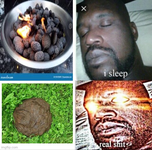 Be Awesome One’s reaction to Object Land episode 3’s dishes | image tagged in memes,sleeping shaq | made w/ Imgflip meme maker