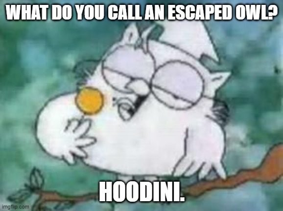 Daily Bad Dad Joke 09/25/2023 | WHAT DO YOU CALL AN ESCAPED OWL? HOODINI. | image tagged in tootsie pop owl | made w/ Imgflip meme maker