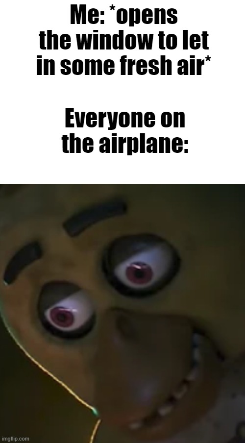 Wait what- | Me: *opens the window to let in some fresh air*; Everyone on the airplane: | image tagged in funny,dark,five nights at freddys,fnaf,airplane | made w/ Imgflip meme maker
