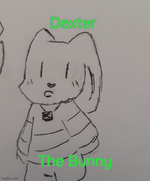 Dexter The Bunny (request from SylceonDraws_HTF ) | Dexter; The Bunny | image tagged in dexter the funny | made w/ Imgflip meme maker