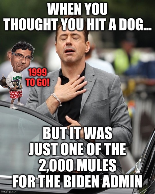Relief | WHEN YOU THOUGHT YOU HIT A DOG…; 1999 TO GO! BUT IT WAS JUST ONE OF THE 2,000 MULES FOR THE BIDEN ADMIN | image tagged in relief,donald trump,republicans,maga,fox news,gop | made w/ Imgflip meme maker