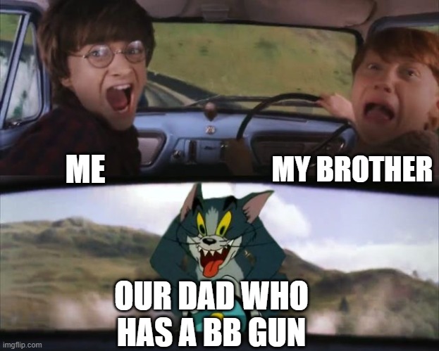 Tom chasing Harry and Ron Weasly | MY BROTHER; ME; OUR DAD WHO HAS A BB GUN | image tagged in tom chasing harry and ron weasly | made w/ Imgflip meme maker