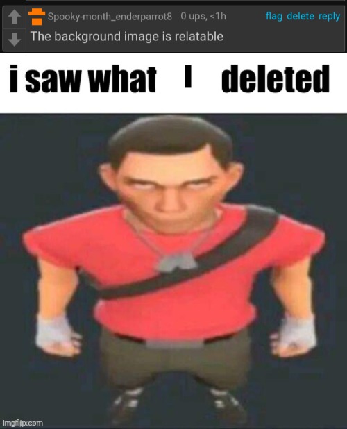 I | image tagged in i saw what you deleted scout | made w/ Imgflip meme maker