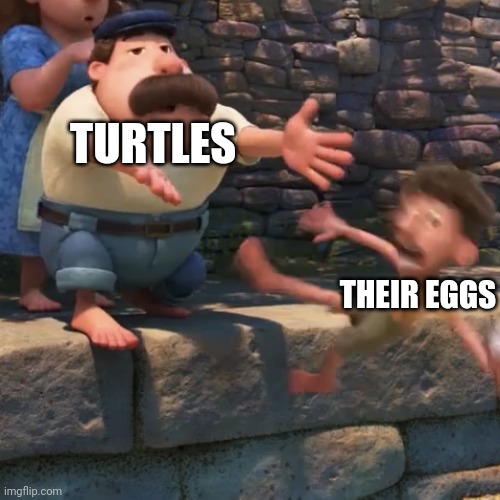 Terrible mothers | TURTLES; THEIR EGGS | image tagged in man throws child into water,memes,funny memes,lol so funny,luca,turtle | made w/ Imgflip meme maker