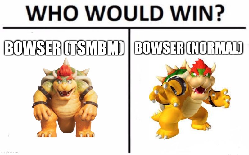 Who Would Win? Meme | BOWSER (TSMBM); BOWSER (NORMAL) | image tagged in memes,who would win,mario,super mario bros,super mario | made w/ Imgflip meme maker