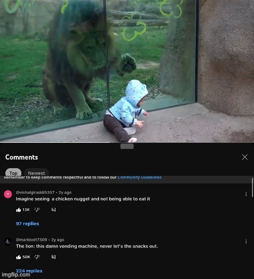 I would freak out if I were one of that kid's parents | image tagged in cursed,comment,meme,funny,lion | made w/ Imgflip meme maker