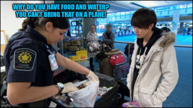 airport customs | WHY DO YOU HAVE FOOD AND WATER? YOU CAN'T BRING THAT ON A PLANE! | image tagged in airport customs | made w/ Imgflip meme maker