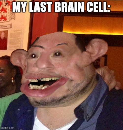 My last brain cell | MY LAST BRAIN CELL: | image tagged in my last brain cell | made w/ Imgflip meme maker