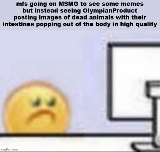 It's not porn obvi, but like cheezus dude (not turning off NSFW for one image) | mfs going on MSMG to see some memes but instead seeing OlympianProduct posting images of dead animals with their intestines popping out of the body in high quality | image tagged in zad | made w/ Imgflip meme maker