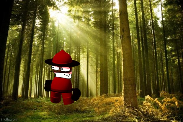 rare expunged sighting | image tagged in sunlit forest | made w/ Imgflip meme maker