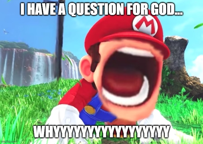 Y | I HAVE A QUESTION FOR GOD... WHYYYYYYYYYYYYYYYYY | image tagged in mario screaming | made w/ Imgflip meme maker