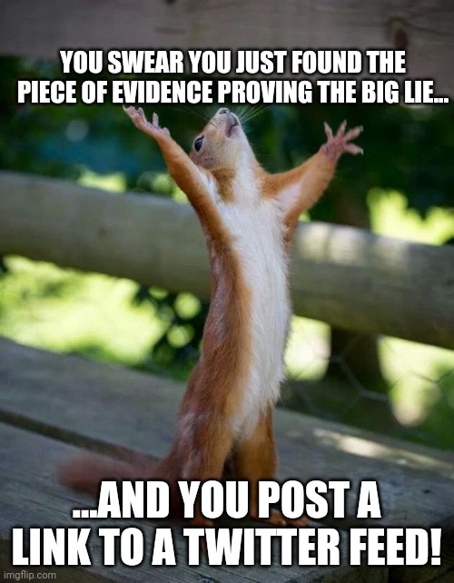 Try using a citation from a print journalist next time | YOU SWEAR YOU JUST FOUND THE PIECE OF EVIDENCE PROVING THE BIG LIE... ...AND YOU POST A LINK TO A TWITTER FEED! | image tagged in happy squirrel | made w/ Imgflip meme maker
