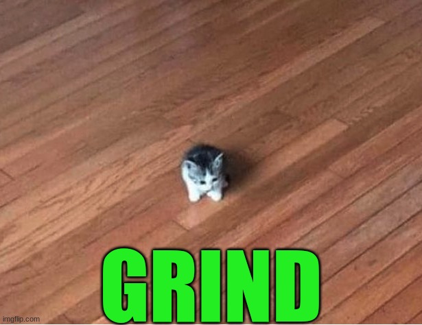 small cat | GRIND | image tagged in small cat | made w/ Imgflip meme maker