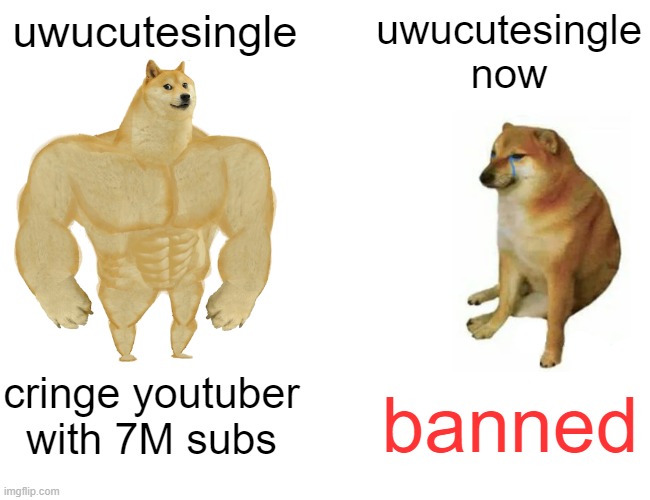 W | uwucutesingle; uwucutesingle now; cringe youtuber with 7M subs; banned | image tagged in memes,buff doge vs cheems,funny,roblox | made w/ Imgflip meme maker
