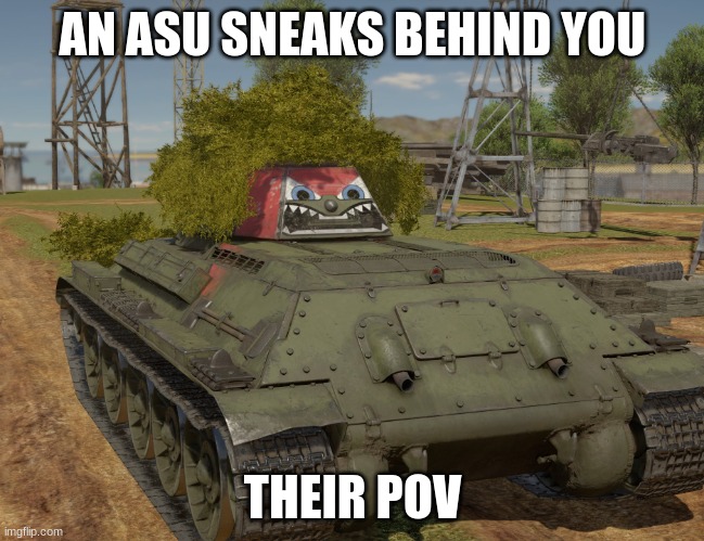 meme tanku | AN ASU SNEAKS BEHIND YOU; THEIR POV | image tagged in meme tanku | made w/ Imgflip meme maker