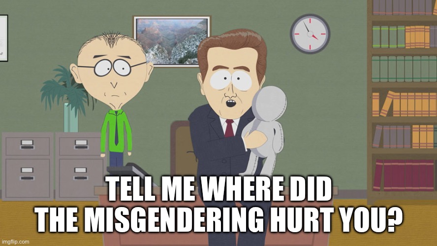 Misgender | TELL ME WHERE DID THE MISGENDERING HURT YOU? | image tagged in molestation doll | made w/ Imgflip meme maker