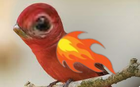 fire wings Blank Meme Template