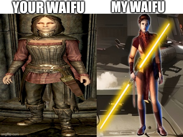 Your waifu vs my waifu | YOUR WAIFU; MY WAIFU | image tagged in the elder scrolls | made w/ Imgflip meme maker