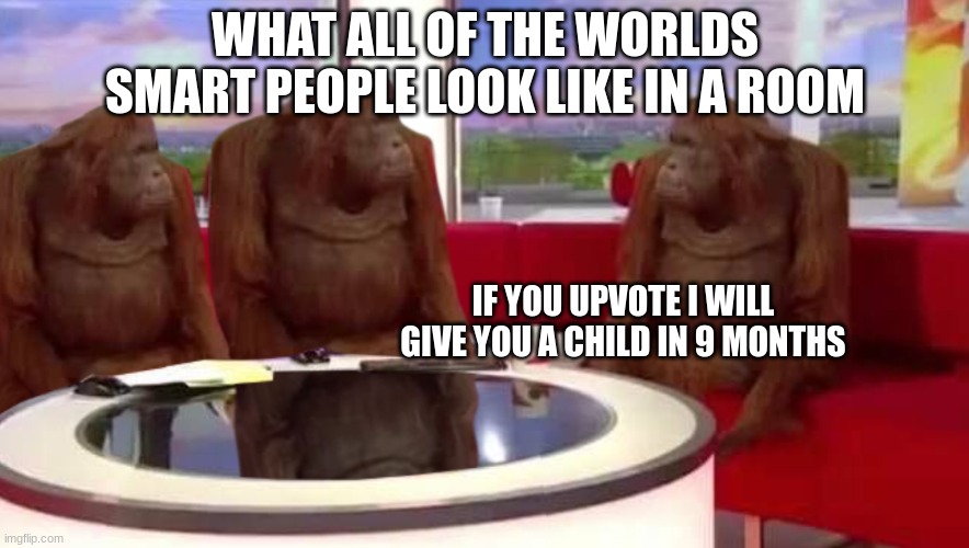 where monkey | WHAT ALL OF THE WORLDS SMART PEOPLE LOOK LIKE IN A ROOM; IF YOU UPVOTE I WILL GIVE YOU A CHILD IN 9 MONTHS | image tagged in where monkey | made w/ Imgflip meme maker