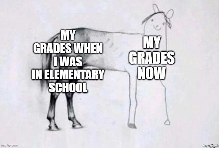 RIP my sanity | MY GRADES WHEN I WAS IN ELEMENTARY SCHOOL; MY GRADES NOW | image tagged in horse drawing,high school,relatable,memes,funny,9th grade | made w/ Imgflip meme maker