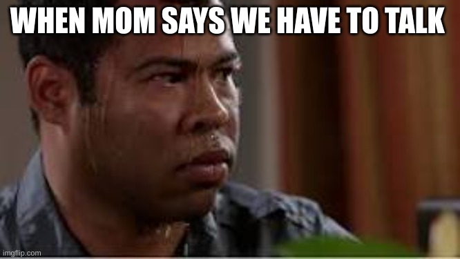 When mom says we have to talk | WHEN MOM SAYS WE HAVE TO TALK | image tagged in oh wow are you actually reading these tags | made w/ Imgflip meme maker